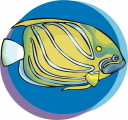 Fish Clipart