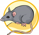 Mammal Clipart