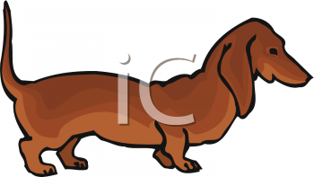 Mammal Clipart