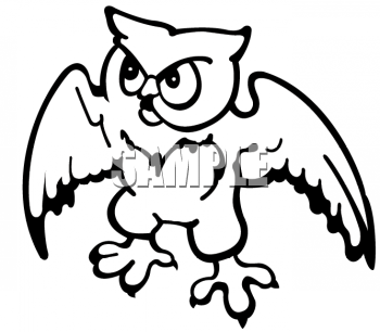 Owl Clipart