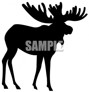 Moose Clipart