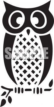 Owl Clipart