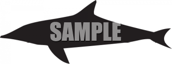 Shark Clipart