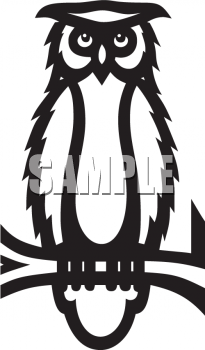 Owl Clipart