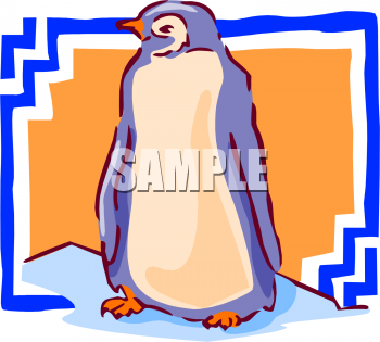 Penguin Clipart