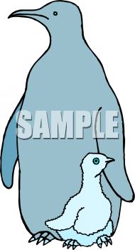 Penguin Clipart