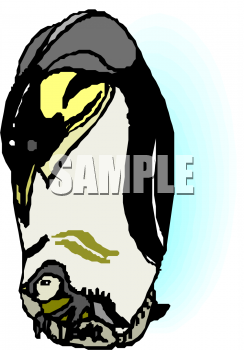 Penguin Clipart