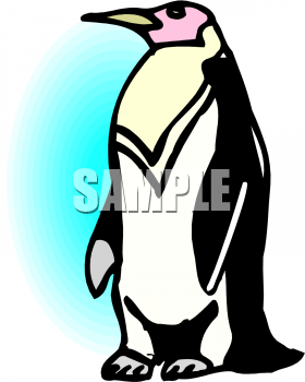 Penguin Clipart