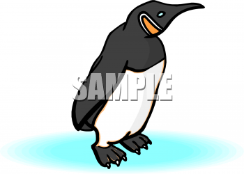 Penguin Clipart