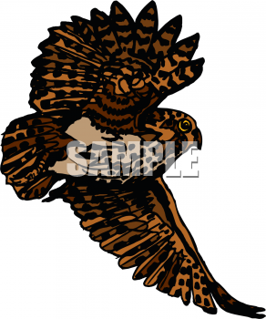 Owl Clipart