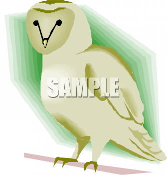 Owl Clipart
