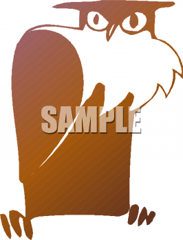 Owl Clipart