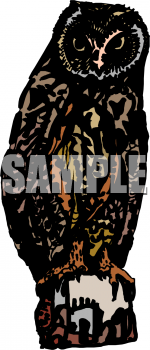 Owl Clipart