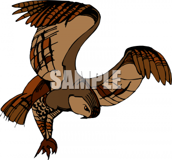 Owl Clipart