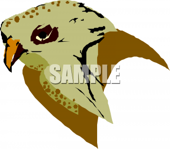 Owl Clipart