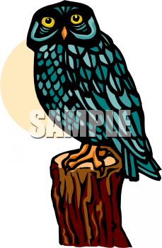 Owl Clipart
