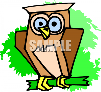 Owl Clipart