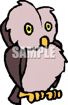 Owl Clipart