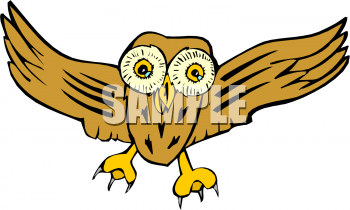 Owl Clipart