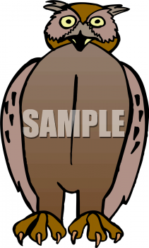 Owl Clipart