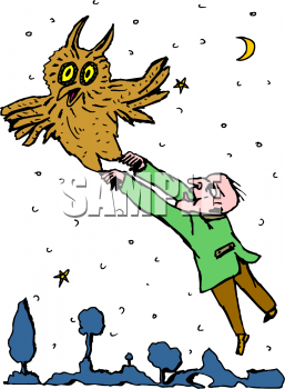 Owl Clipart