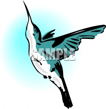 Hummingbird Clipart