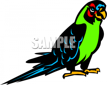 Parrot Clipart