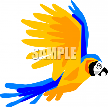 Parrot Clipart