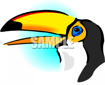 Parrot Clipart
