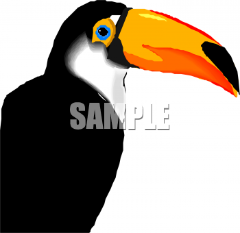 Parrot Clipart