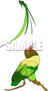 Parrot Clipart