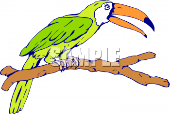 Parrot Clipart