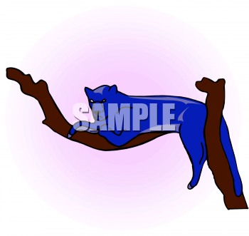 Panther Clipart
