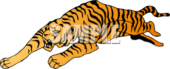 Tiger Clipart