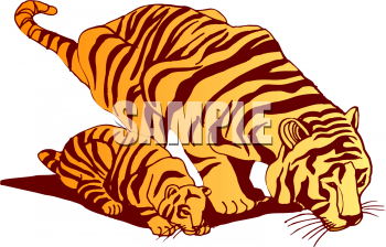 Tiger Clipart