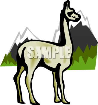 Llama Clipart