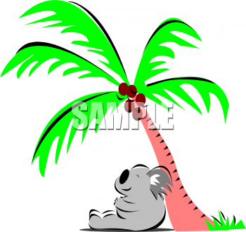 Koala Clipart
