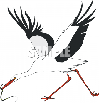 Stork Clipart