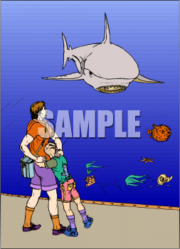 Shark Clipart