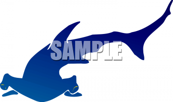 Shark Clipart