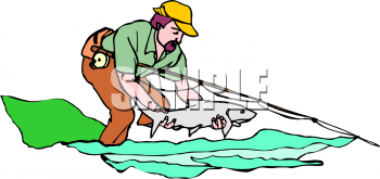 Shark Clipart