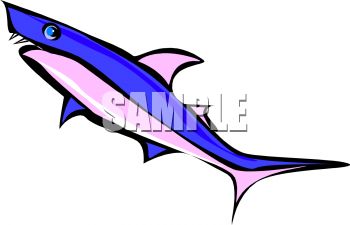 Shark Clipart