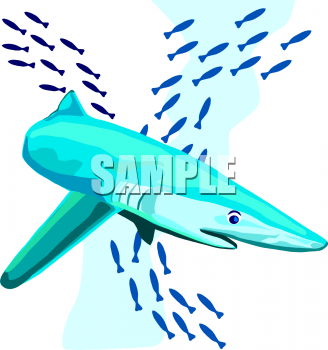 Shark Clipart