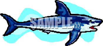 Shark Clipart