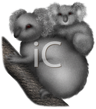 Koala Clipart