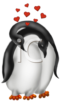Penguin Clipart