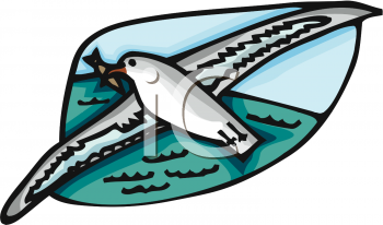 Seagull Clipart