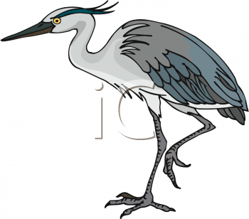 Stork Clipart