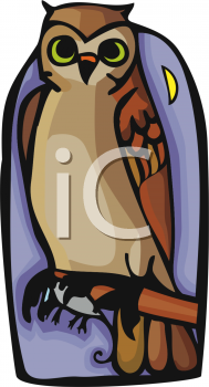 Owl Clipart