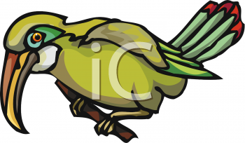 Parrot Clipart